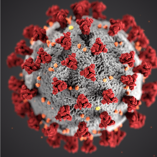 Superimposed Virus