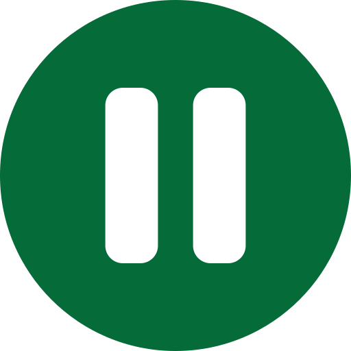 Pause button icon