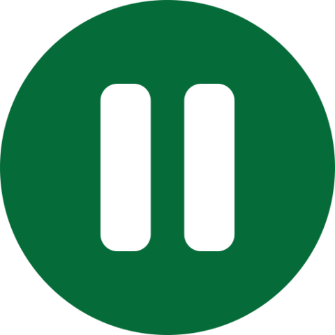Pause button icon