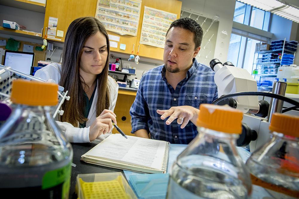 Faculty member teaching a student one-on-one.